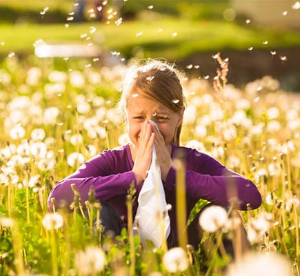 sneezing allergies